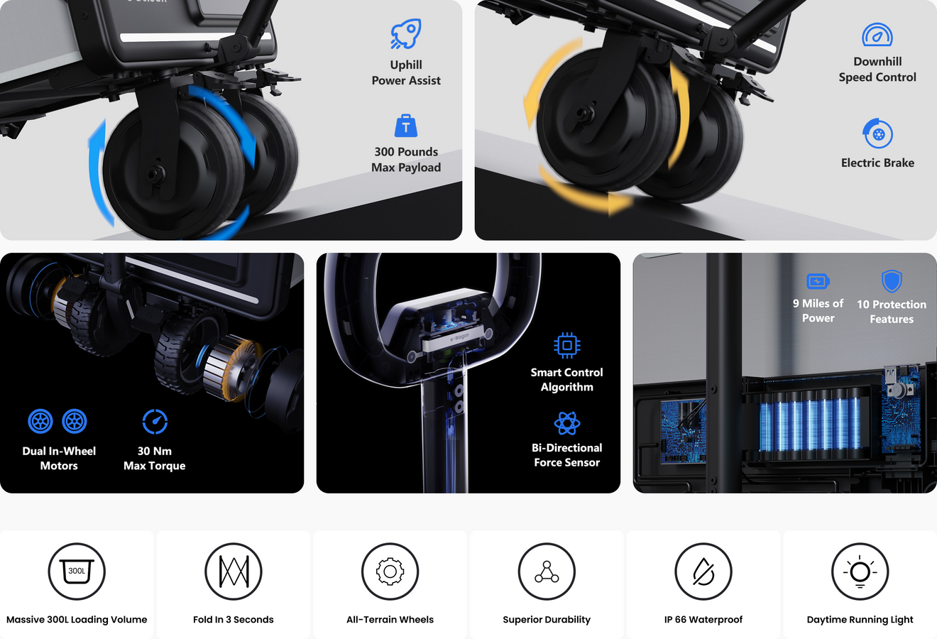 One Look, All Core Features