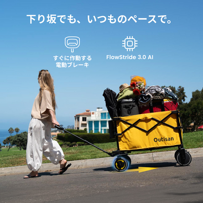 e-Wagon Lite