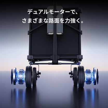 e-Wagon Lite