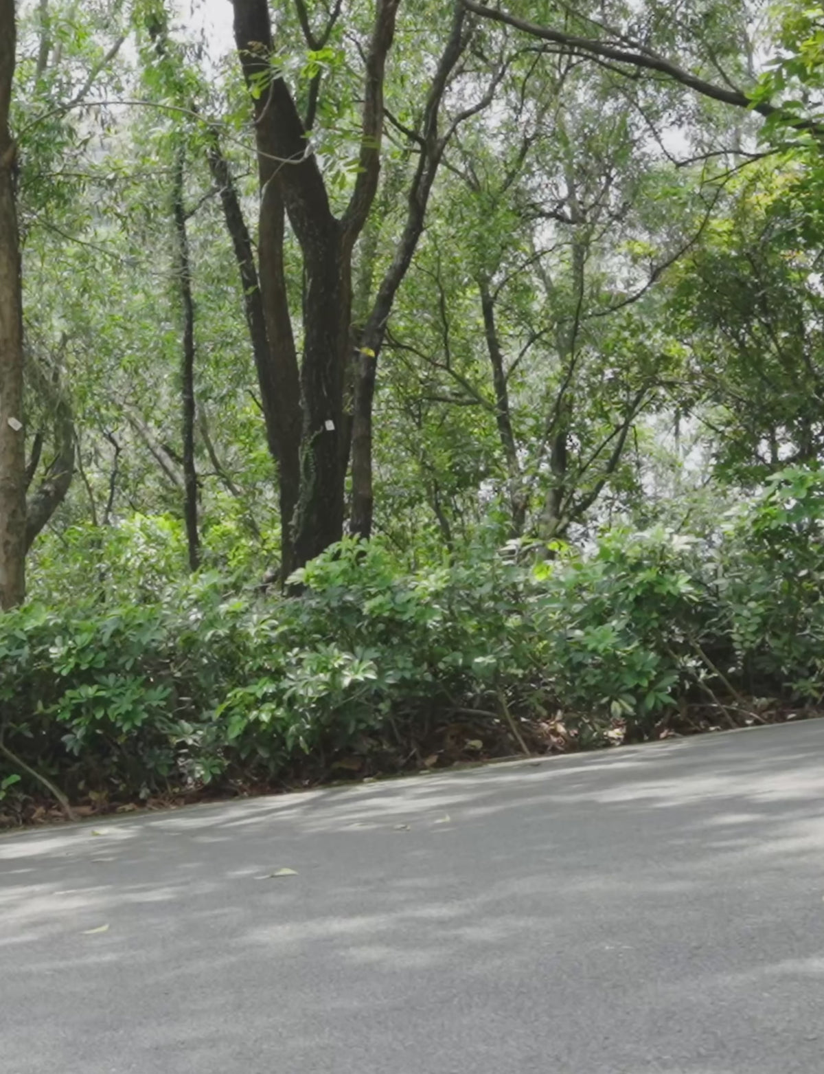 Uphill Power Assist