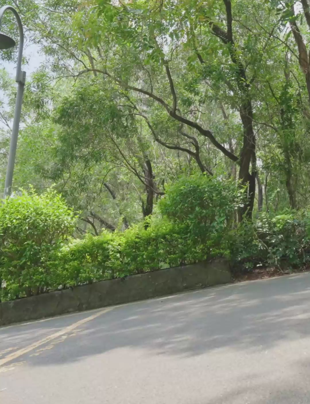 Downhill Speed Control